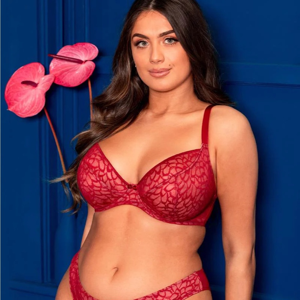 Curvy Kate Lace Me Lace Plunge Bra - Red